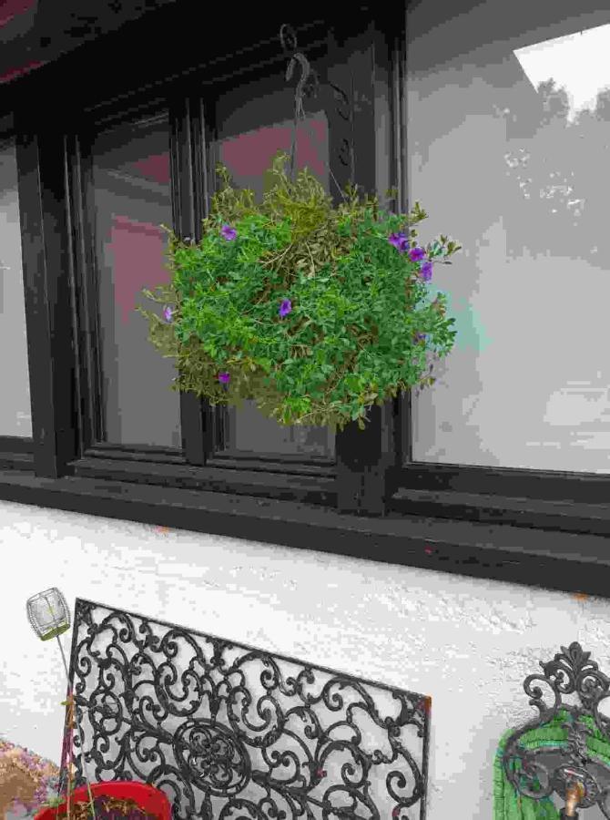 Bed and Breakfast La Grange à Promilhanes Extérieur photo